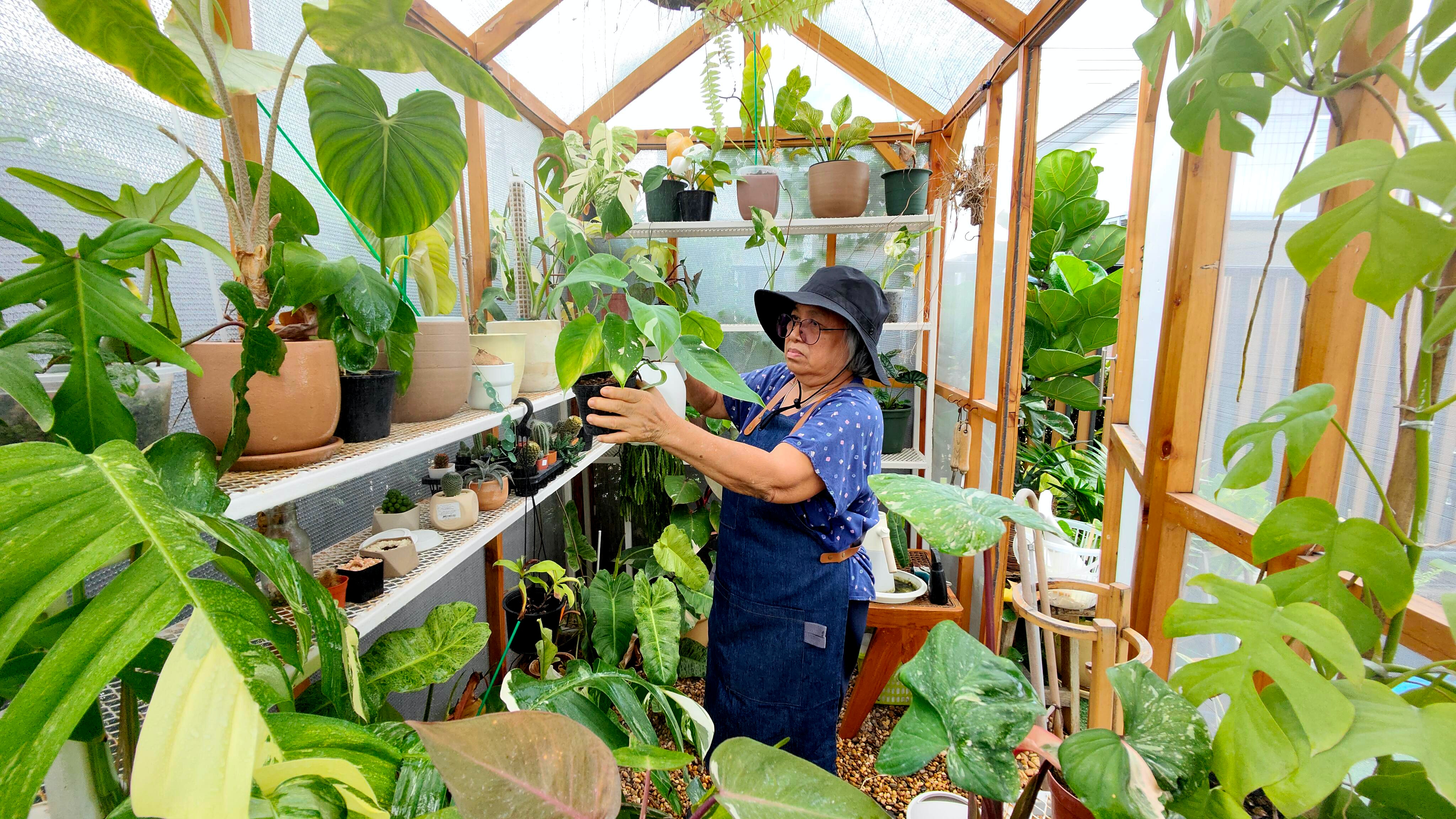 Image of a gardener